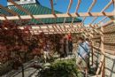 Community Sukkah Raising 