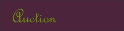auction tab.jpg